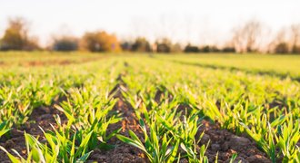 Landwirtschaft für Europa/2019