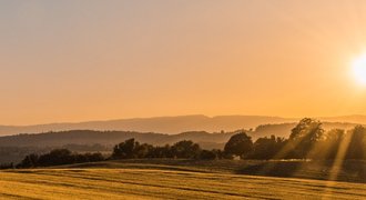 Landwirtschaft als Energieerzeuger/2008